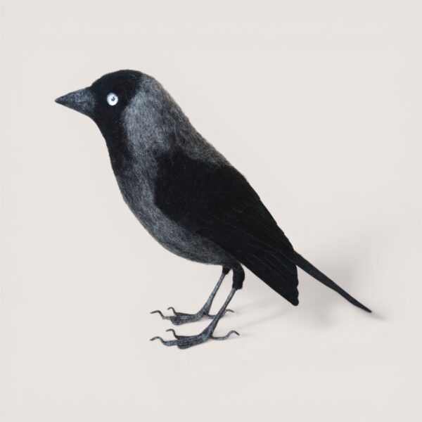Made to Order 33 Needle-felted jackdaw bird sculpture by Grey Wren Studio, three-quarter view