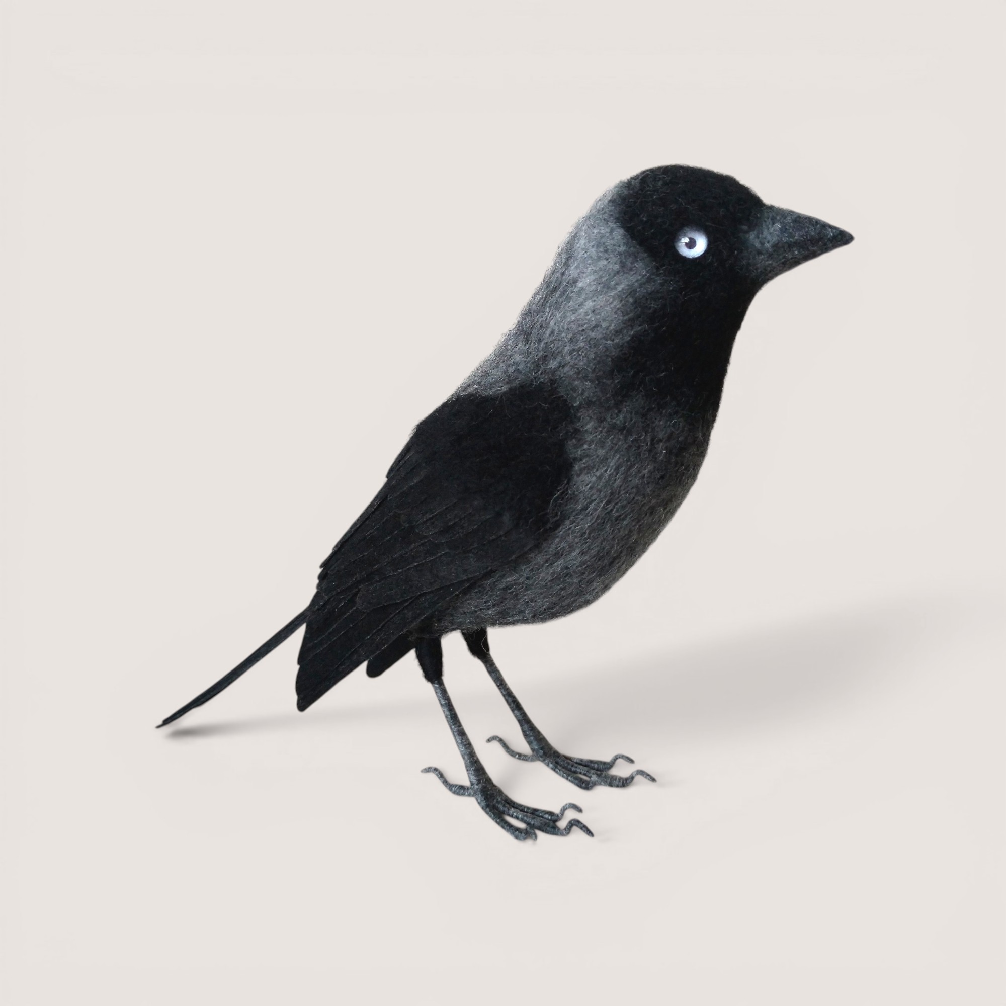 Needle-felted jackdaw bird sculpture by Grey Wren Studio, side profile.