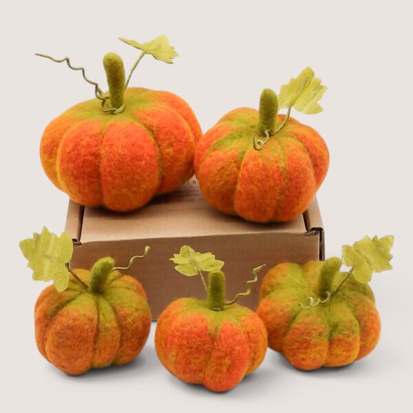 Ready to Ship 37 pumpkins-harvest-blend-set-of-five-grey-wren-studio-scale