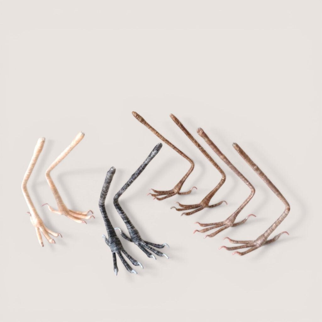 Set of four pairs of standard songbird legs for needle felting by Grey Wren Studio, front view