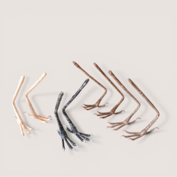 Made to Order 42 Set of four pairs of standard songbird legs for needle felting by Grey Wren Studio, front view