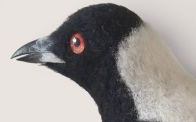 Journal 1 What Gives a Needle Felted Bird Its Character